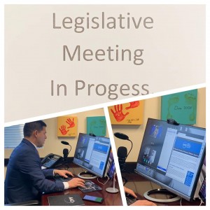 2020 AADA Virtual Legislative Conference is on