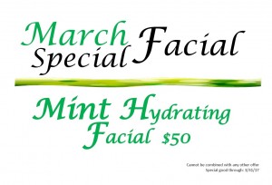 March Mint Hydrating Facial Special
